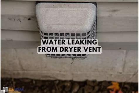 dryer vent leaking in ceiling|Top Causes of Leaking Dryer Vents & What To Do About It